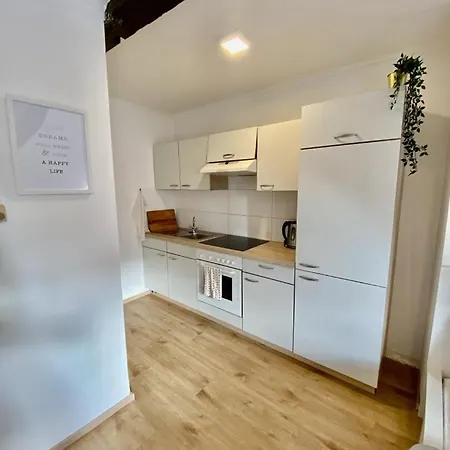Apartment & Holiday