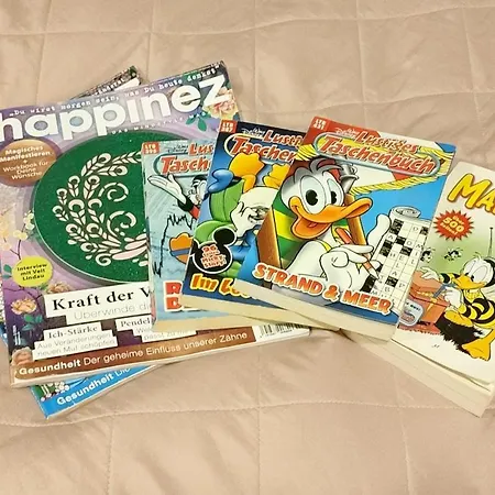 & Holiday 아파트 그라츠